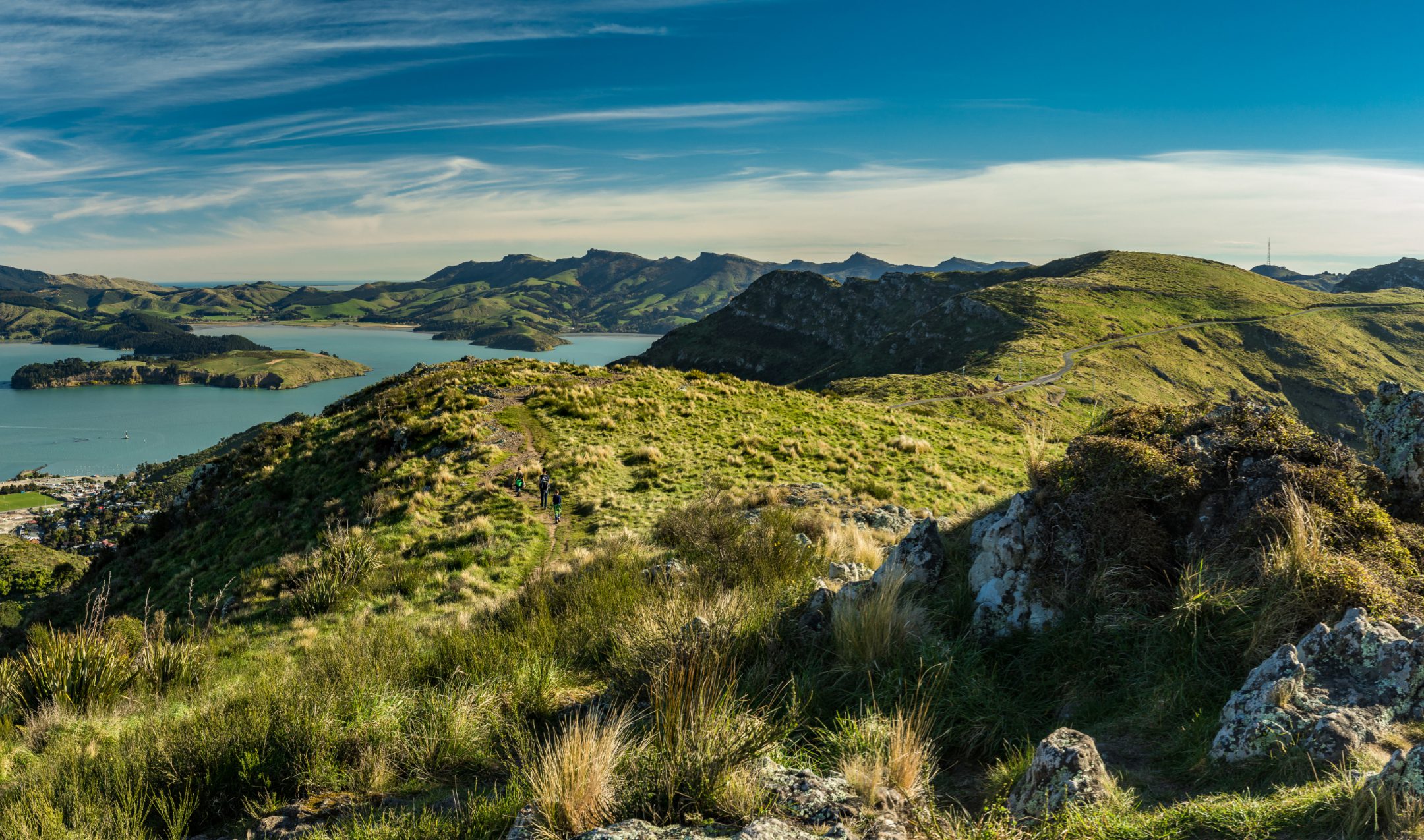 casey tours new zealand